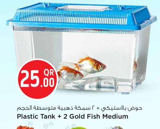 available at Safari Hypermarket in Qatar - Doha