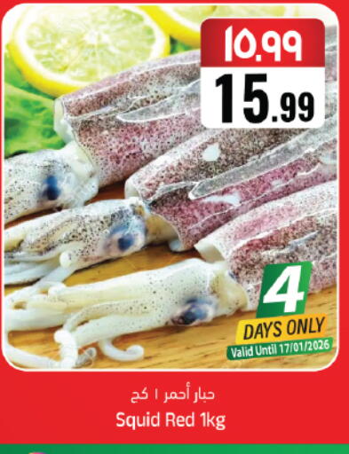 available at ستي فلاور in مملكة العربية السعودية, السعودية, سعودية - حائل‎