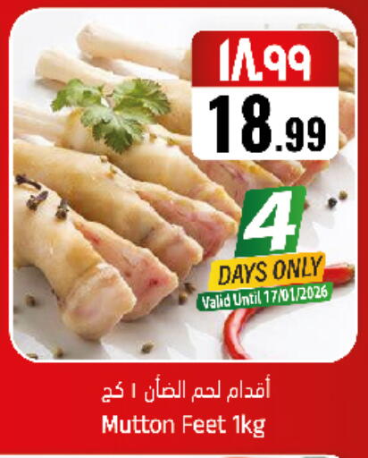 available at City Flower in KSA, Saudi Arabia, Saudi - Sakaka