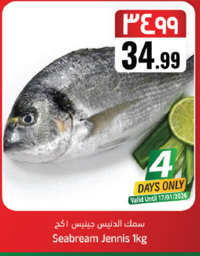 available at ستي فلاور in مملكة العربية السعودية, السعودية, سعودية - حائل‎
