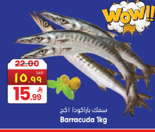 available at ستي فلاور in مملكة العربية السعودية, السعودية, سعودية - حائل‎