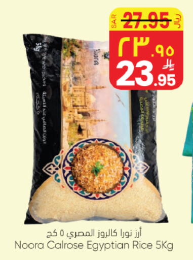 available at City Flower in KSA, Saudi Arabia, Saudi - Hail