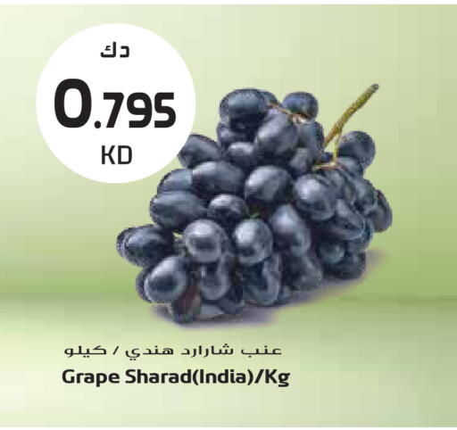 from India available at جراند هايبر in الكويت - محافظة الجهراء