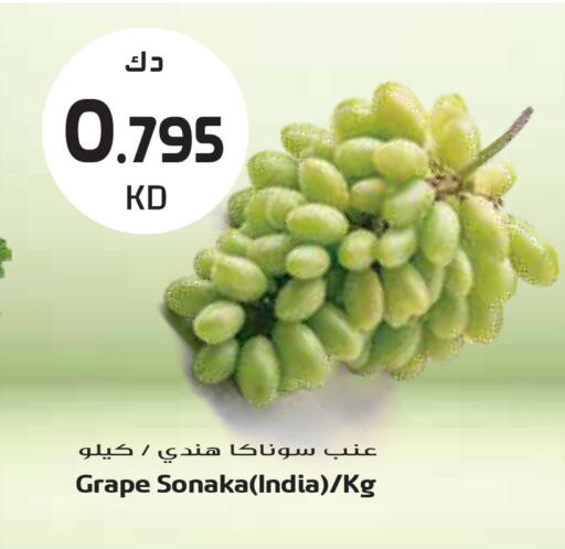 from India available at جراند هايبر in الكويت - محافظة الجهراء