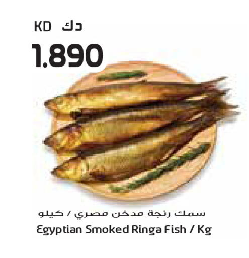 available at Grand Costo in Kuwait - Kuwait City