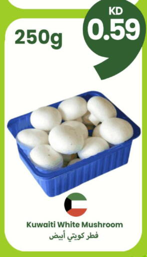 Mushroom from Kuwait available at Taw9eel.com in Kuwait - Kuwait City