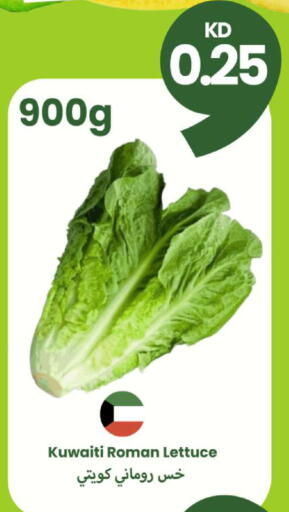 Lettuce from Kuwait available at Taw9eel.com in Kuwait - Kuwait City