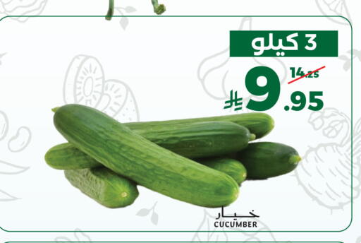 Cucumber available at Mira Mart Mall in KSA, Saudi Arabia, Saudi - Jeddah