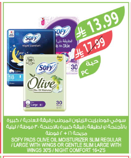 available at Farm  in KSA, Saudi Arabia, Saudi - Arar