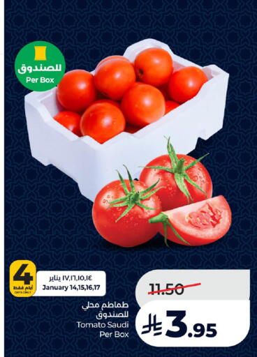 Tomato from Saudi Arabia available at LULU Hypermarket in KSA, Saudi Arabia, Saudi - Al Khobar
