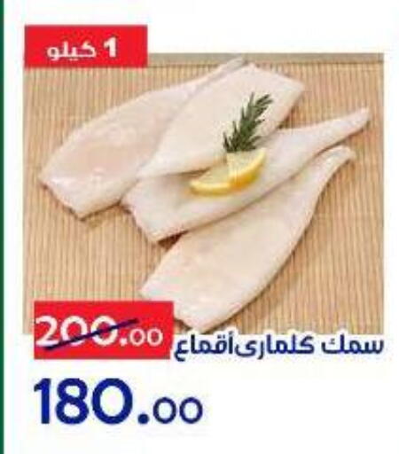 available at الدنيا بخير in Egypt - القاهرة