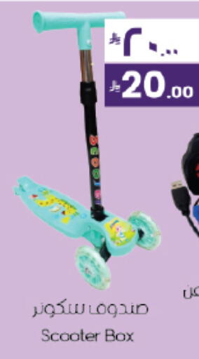 available at City Flower in KSA, Saudi Arabia, Saudi - Najran