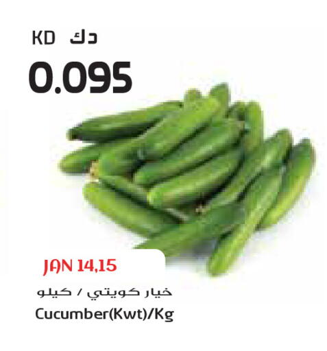 Cucumber available at Grand Costo in Kuwait - Ahmadi Governorate