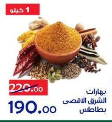 available at الدنيا بخير in Egypt - القاهرة