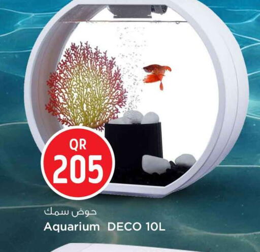 available at Safari Hypermarket in Qatar - Al Daayen