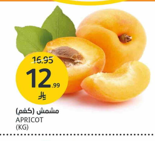 Apricot available at مركز الجزيرة للتسوق in مملكة العربية السعودية, السعودية, سعودية - الرياض