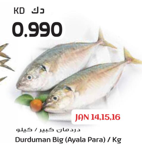 available at جراند هايبر in الكويت - محافظة الجهراء