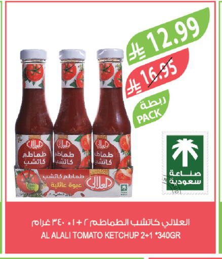 Tomato available at Farm  in KSA, Saudi Arabia, Saudi - Saihat