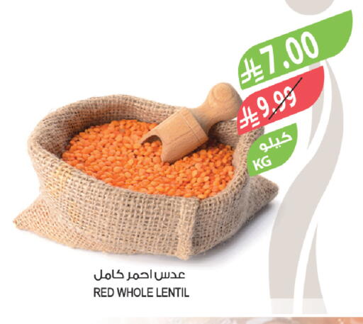 available at المزرعة in مملكة العربية السعودية, السعودية, سعودية - الخبر‎
