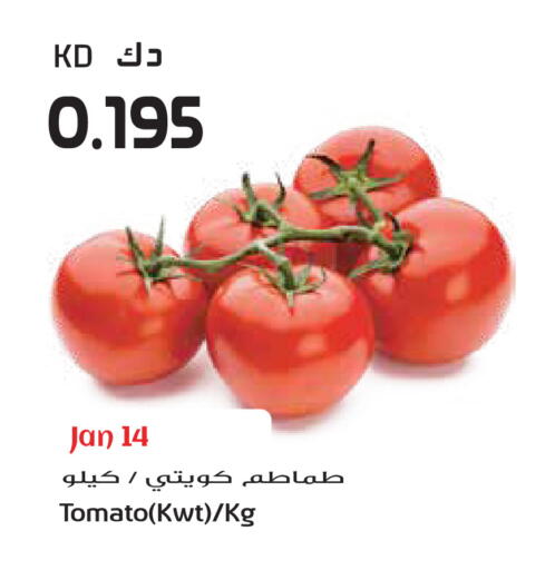 Tomato available at جراند هايبر in الكويت - محافظة الجهراء