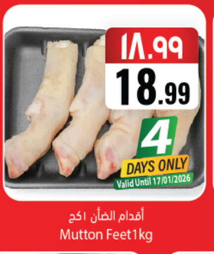 available at ستي فلاور in مملكة العربية السعودية, السعودية, سعودية - نجران
