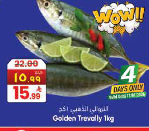 available at ستي فلاور in مملكة العربية السعودية, السعودية, سعودية - الرياض