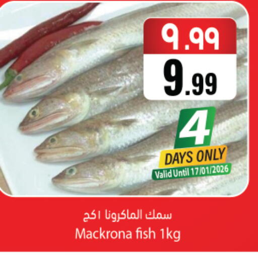 available at ستي فلاور in مملكة العربية السعودية, السعودية, سعودية - نجران