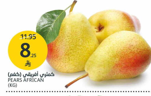 available at AlJazera Shopping Center in KSA, Saudi Arabia, Saudi - Riyadh