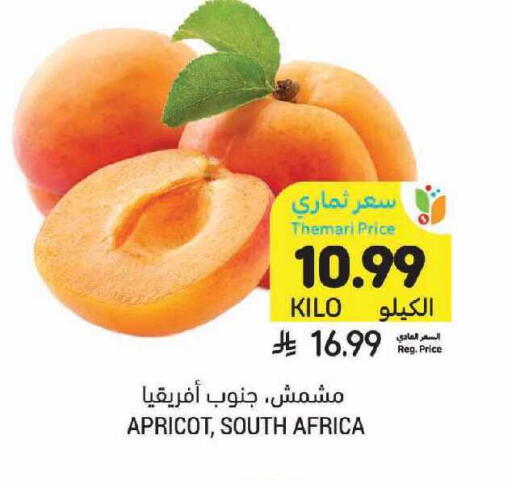 Apricot from South Africa available at Tamimi Market in KSA, Saudi Arabia, Saudi - Riyadh