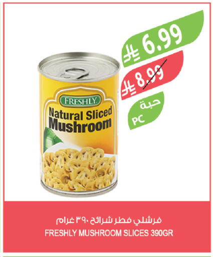 Mushroom available at Farm  in KSA, Saudi Arabia, Saudi - Al Khobar