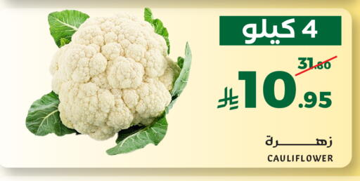 Cauliflower available at ميرا مارت مول in مملكة العربية السعودية, السعودية, سعودية - جدة