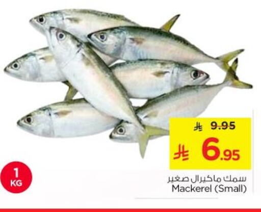 available at نستو in مملكة العربية السعودية, السعودية, سعودية - الرياض