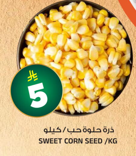 available at Al Madina Hypermarket in KSA, Saudi Arabia, Saudi - Riyadh