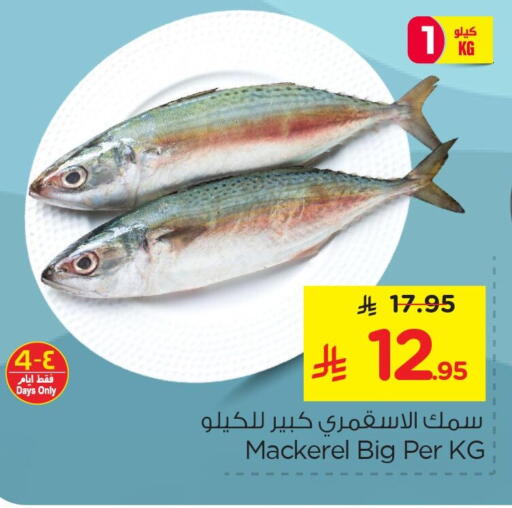 available at Nesto in KSA, Saudi Arabia, Saudi - Al Hasa