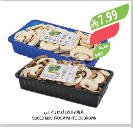 Mushroom available at Farm  in KSA, Saudi Arabia, Saudi - Abha