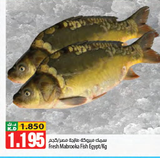 Mango available at مانجو هايبرماركت in الكويت - محافظة الجهراء