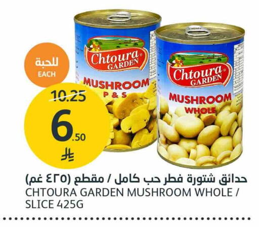 Mushroom available at AlJazera Shopping Center in KSA, Saudi Arabia, Saudi - Riyadh