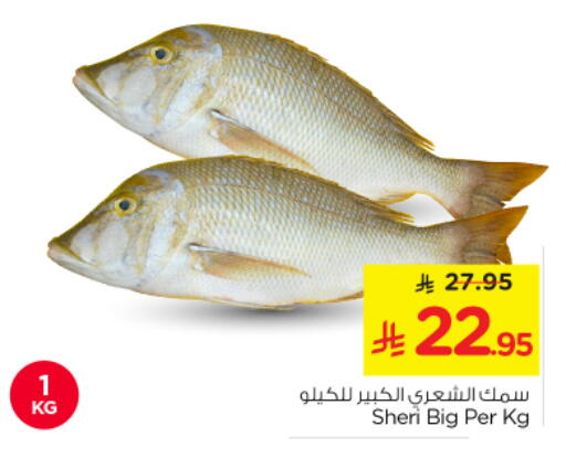 available at Nesto in KSA, Saudi Arabia, Saudi - Al Majmaah