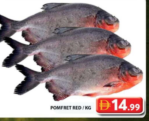 available at Grand Hyper Market in UAE - Dubai