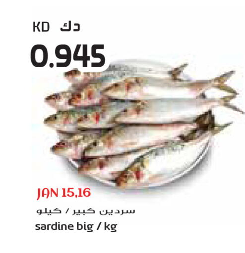 available at جراند كوستو in الكويت - محافظة الأحمدي