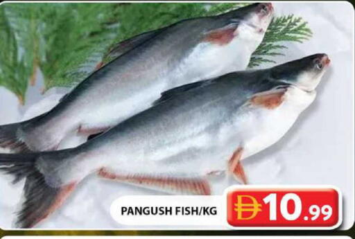 available at Grand Hyper Market in UAE - Dubai