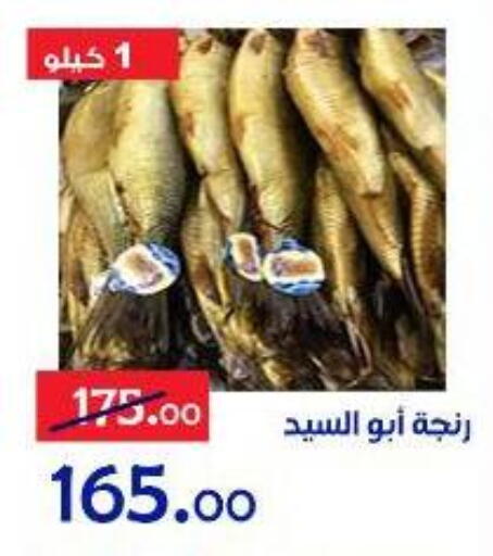 available at الدنيا بخير in Egypt - القاهرة