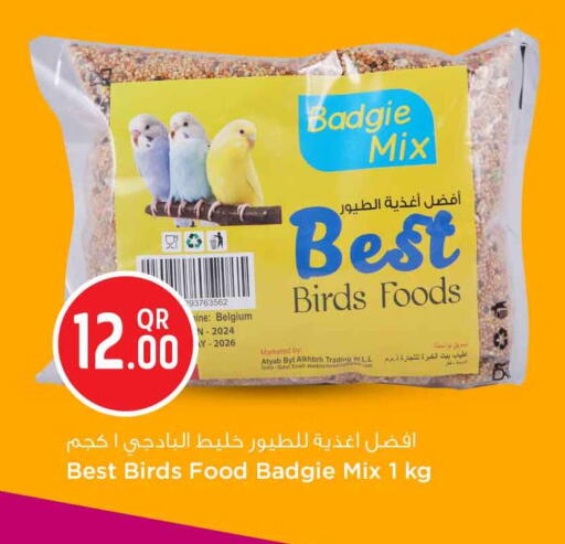 available at سفاري هايبر ماركت in قطر - الضعاين