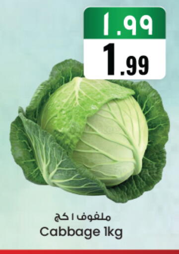 Cabbage available at ستي فلاور in مملكة العربية السعودية, السعودية, سعودية - نجران