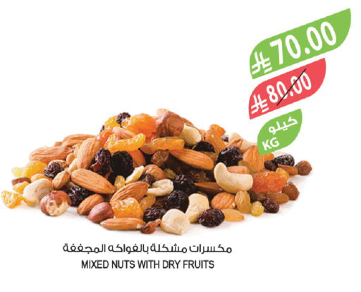 available at المزرعة in مملكة العربية السعودية, السعودية, سعودية - تبوك