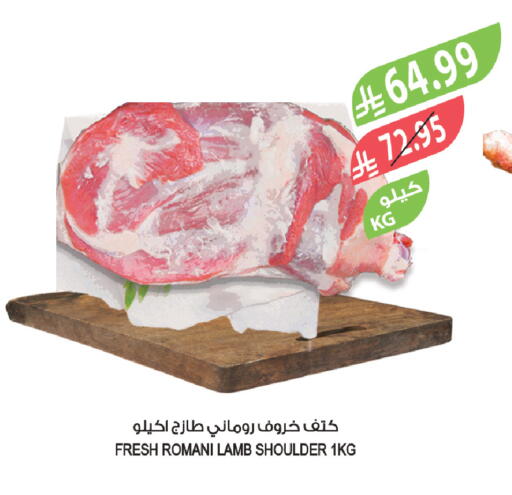 available at المزرعة in مملكة العربية السعودية, السعودية, سعودية - الخبر‎