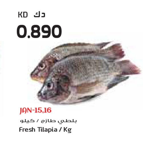 available at جراند كوستو in الكويت - محافظة الأحمدي