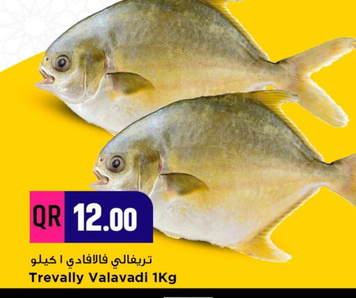 available at مرزا هايبرماركت in قطر - أم صلال