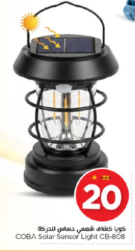 available at نستو in مملكة العربية السعودية, السعودية, سعودية - المجمعة