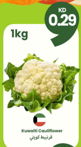 Cauliflower from Kuwait available at Taw9eel.com in Kuwait - Kuwait City